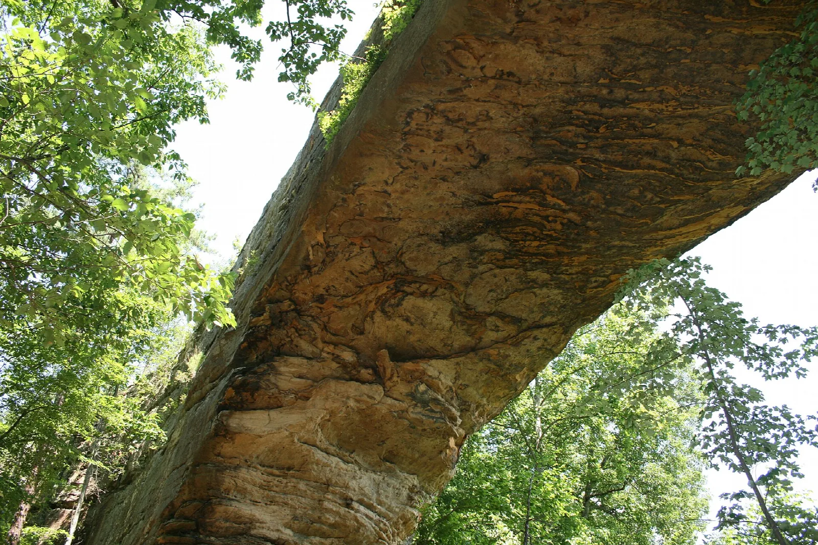 Underside of a large sandstone arch with green trees and sky behind it