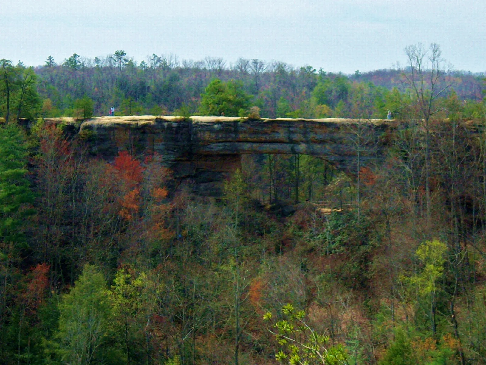Flat-topped sandstone arch above a hillside of trees with some red leaves