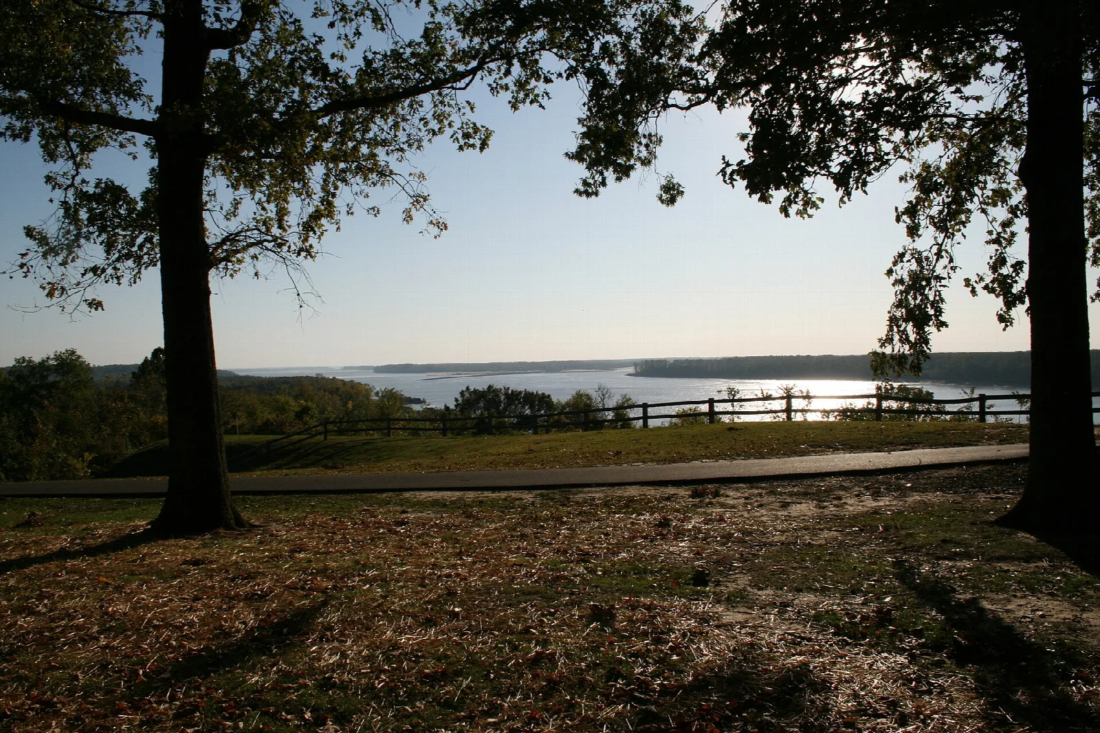 Two large oak trees frame a wide river view under a pale sky