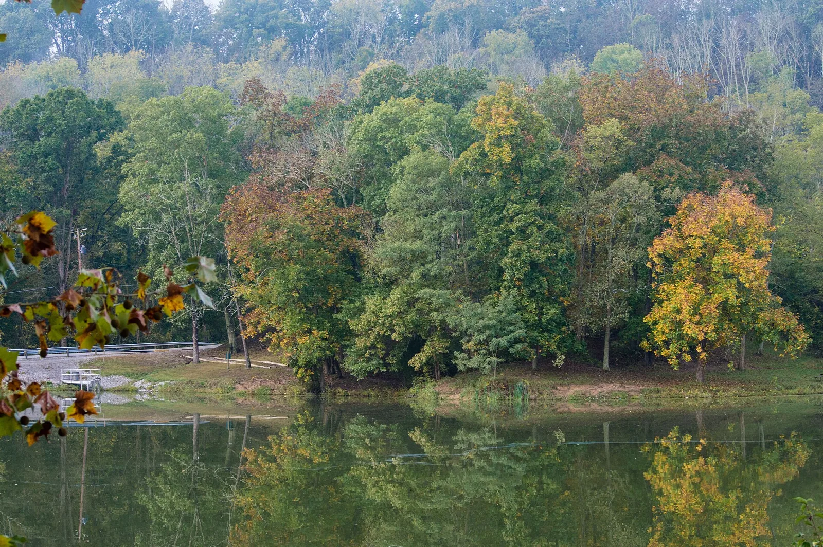 Trees with yellow and orange leaves reflected in a still lake