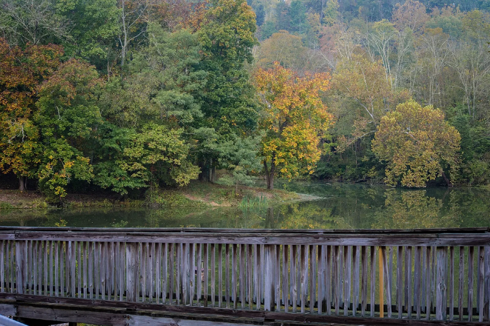 Fall-colored trees on the lake shore above a wooden railing