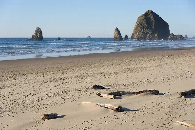 Tolovana Beach State Recreation Site