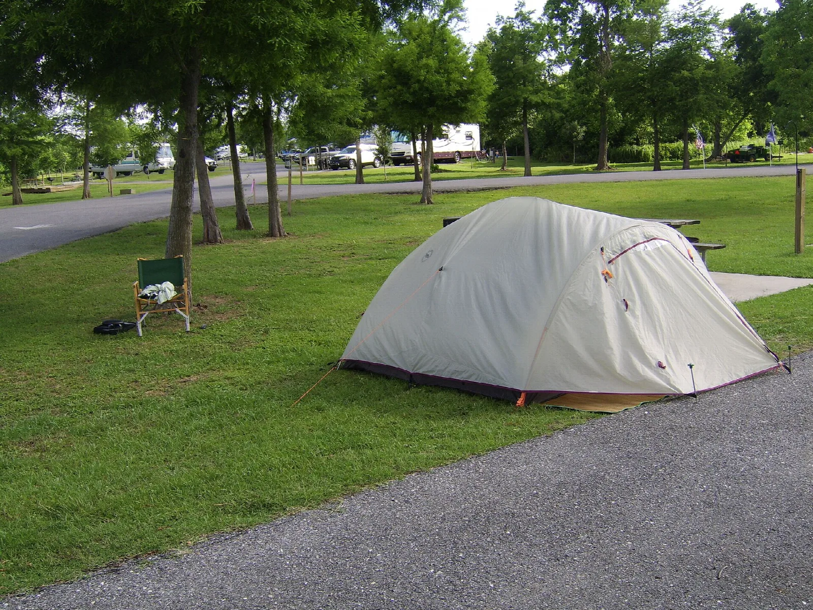 Small tan dome tent pitched on grass beside a paved loop road, with shade trees behind