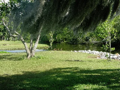 Fairview Riverside State Park