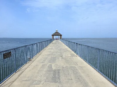 Fontainebleau State Park