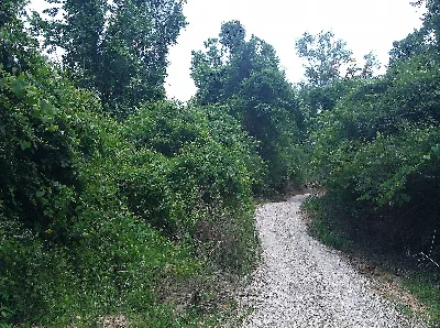 Bogue Chitto State Park