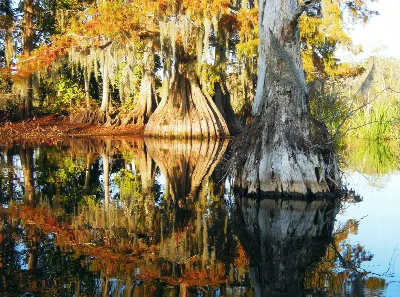 Chicot State Park