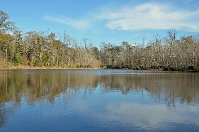 Palmetto Island State Park