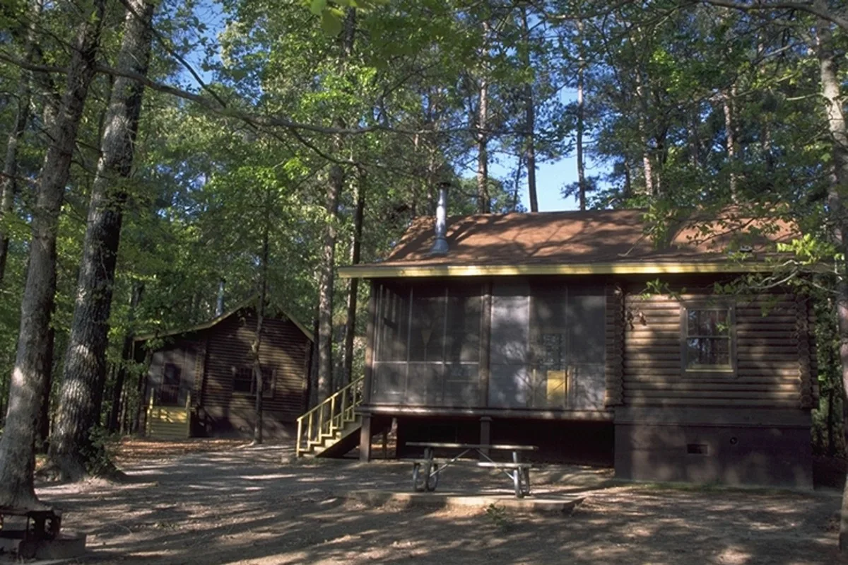 Small brown wooden cabin with a screened porch among tall pines