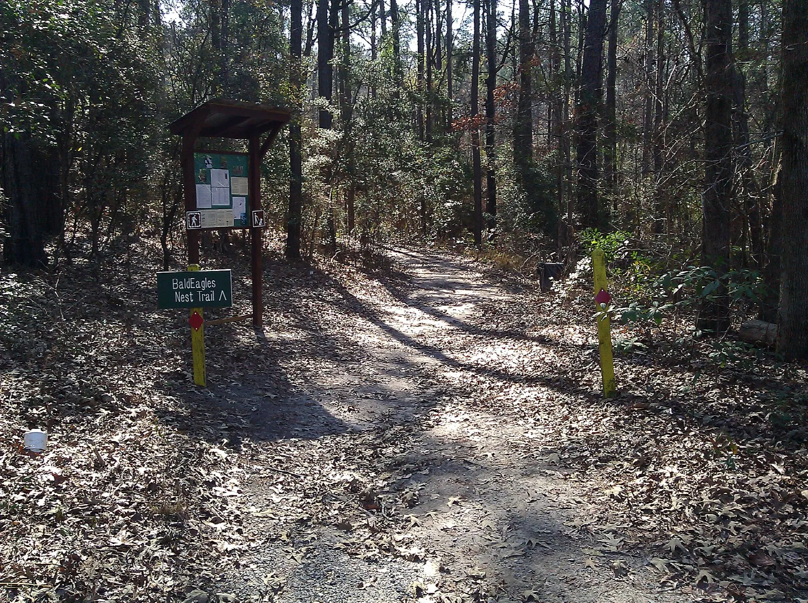 Leaf-covered trail through the woods past a signboard
