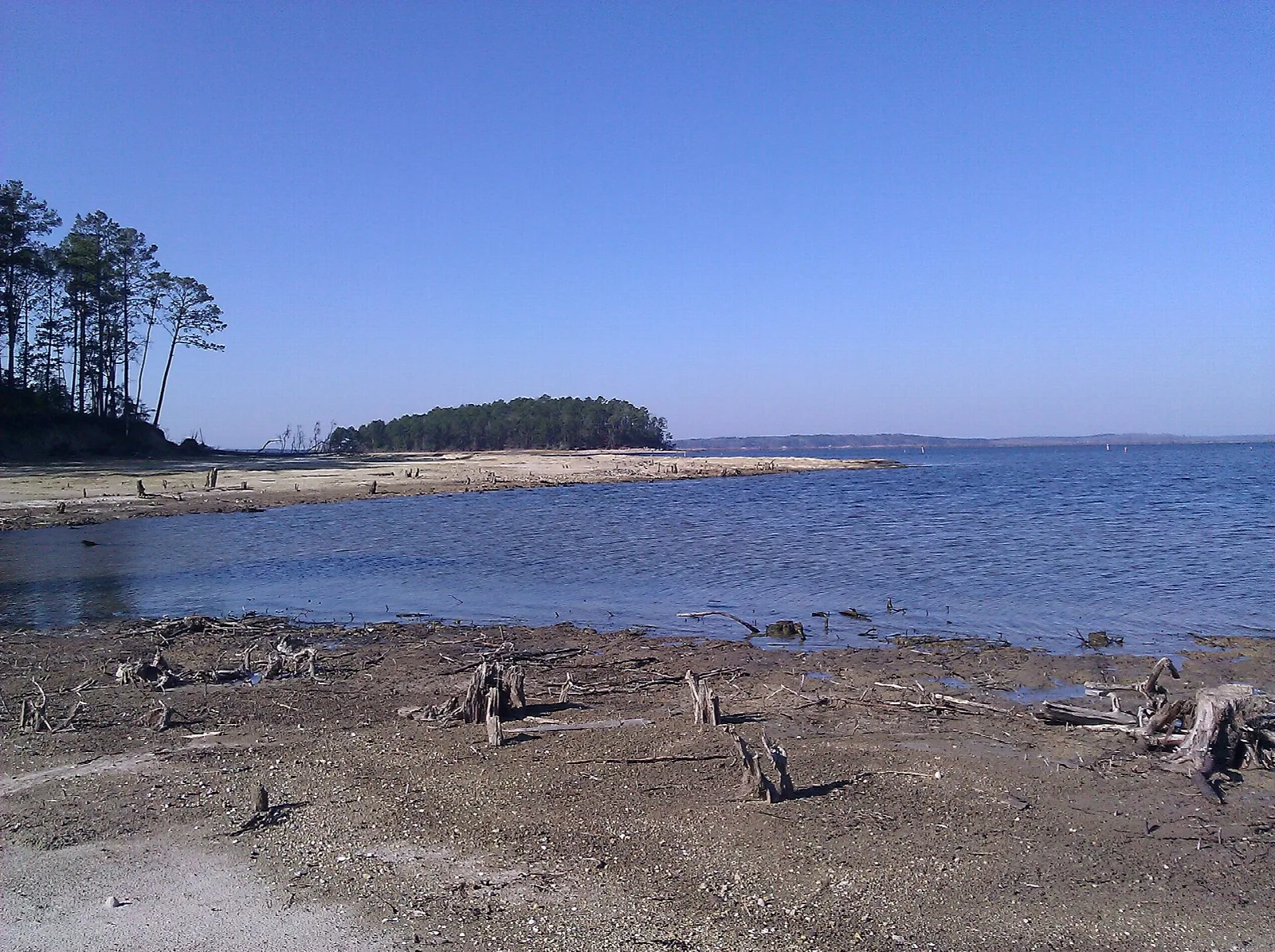 Wide reservoir with a sandy shoreline, stumps in the foreground and a wooded island beyond