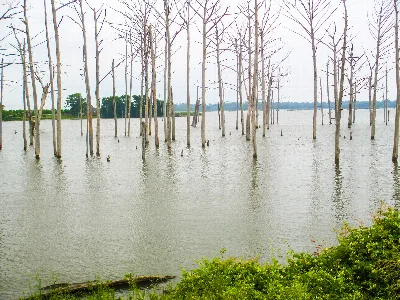 Poverty Point Reservoir State Park