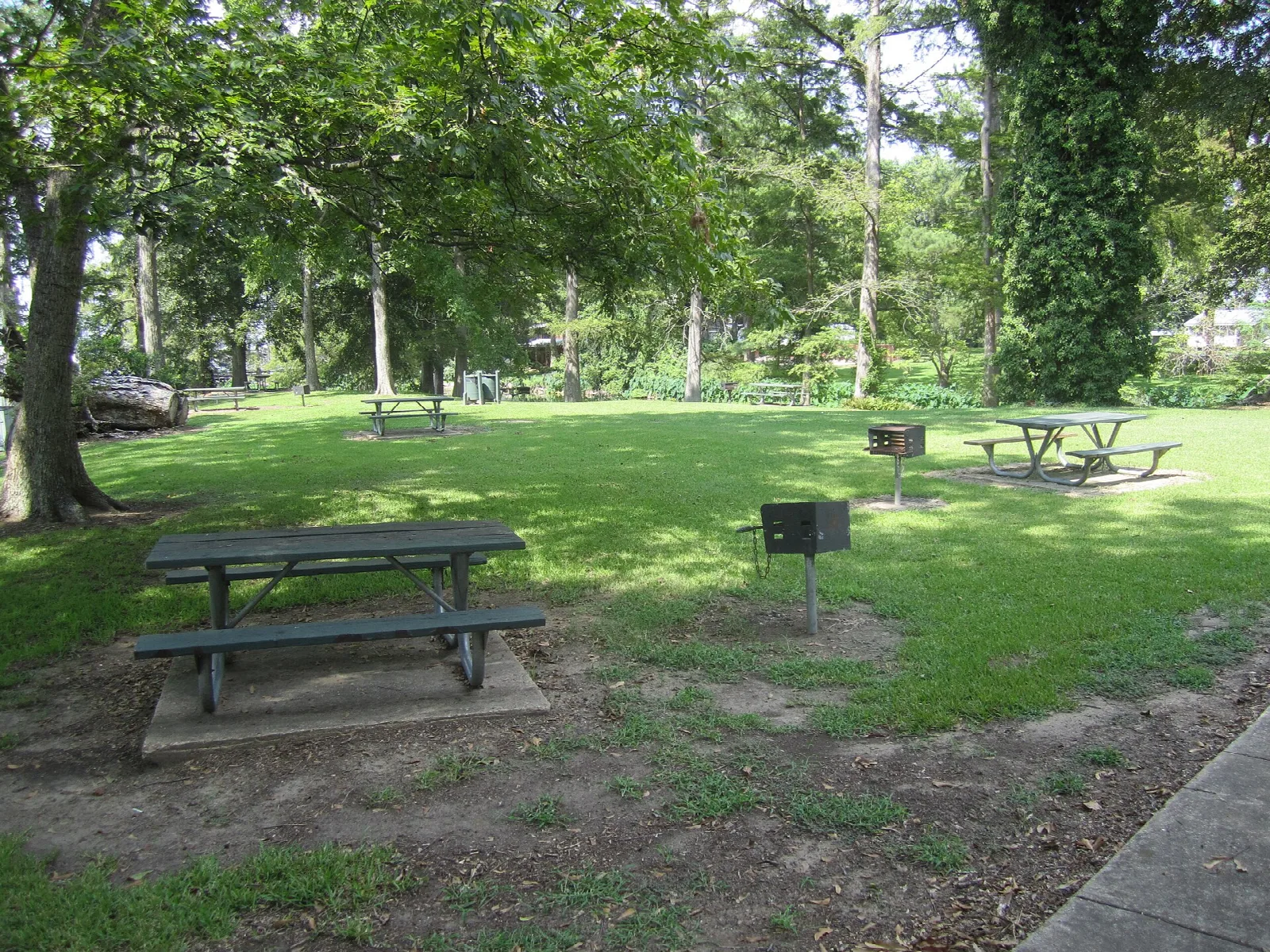Picnic tables and grills on a grassy lawn under tall trees