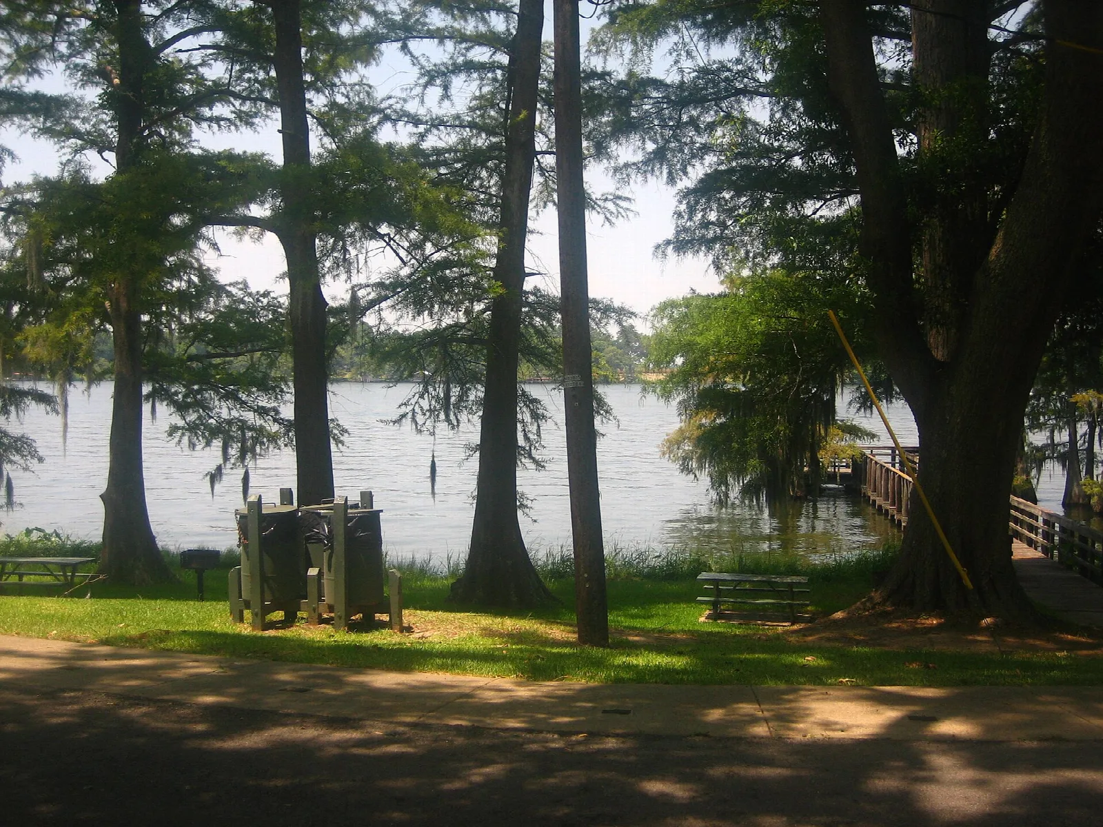 Lakeside lawn with large trees and a bench near the water