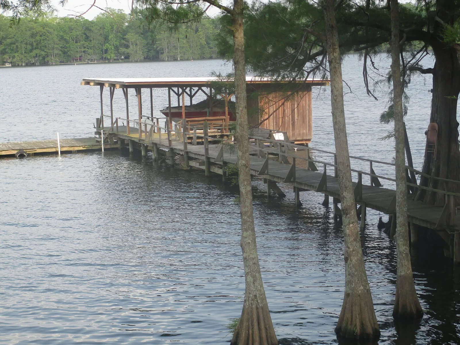 Covered boat dock on a lake framed by cypress trunks