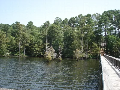 Lake D'Arbonne State Park