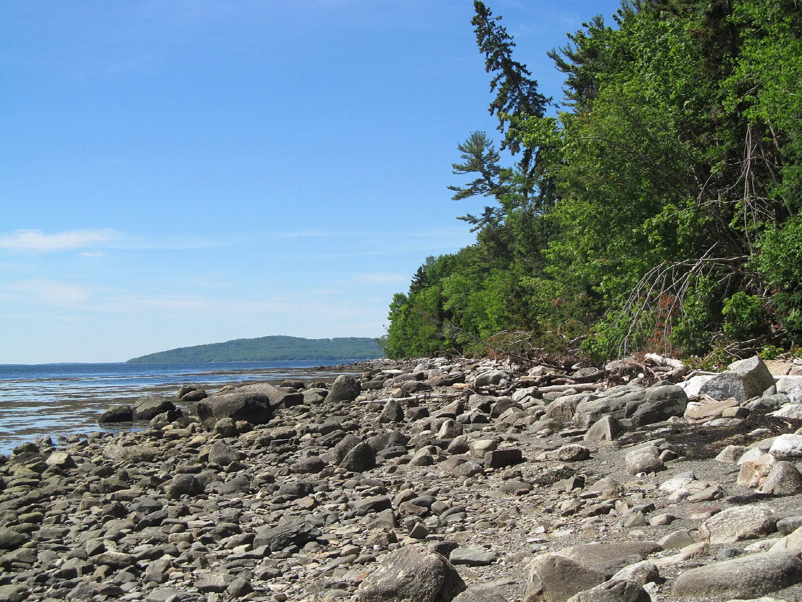 Rocky pebble shore beside the bay with evergreen trees and a distant headland