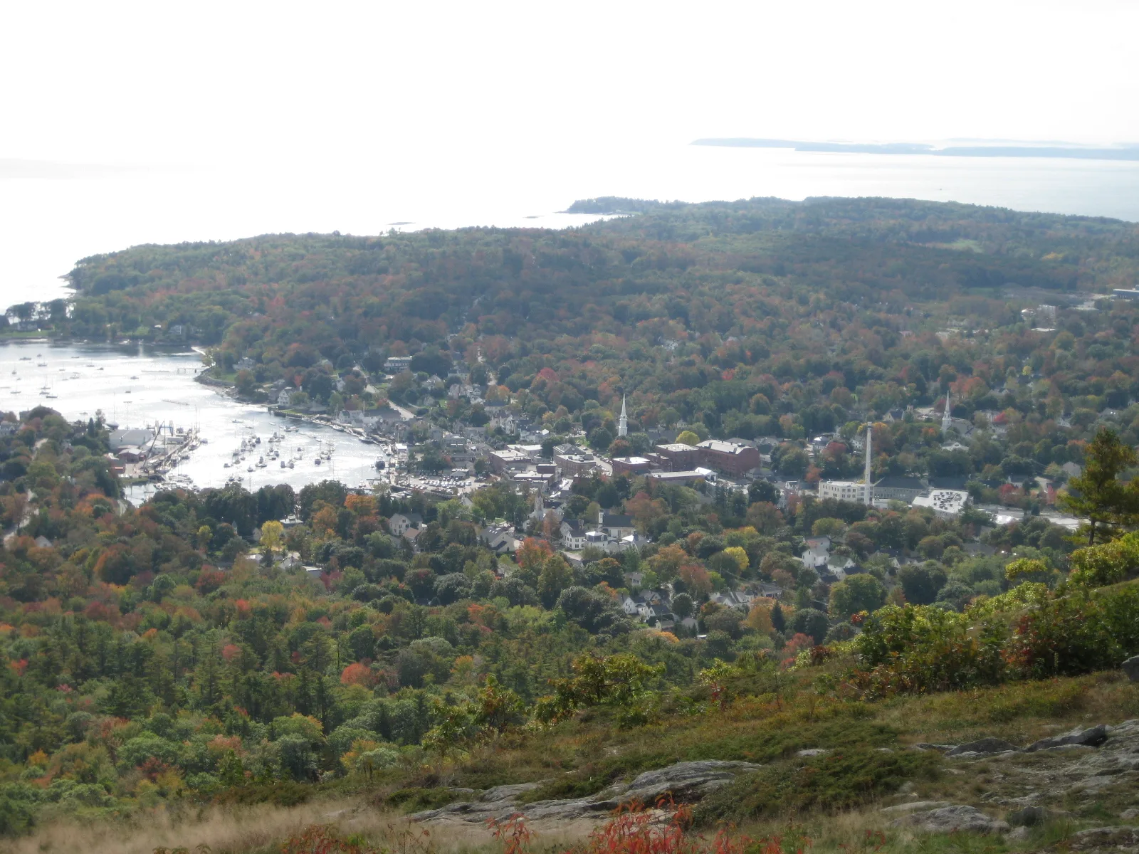 Harbor town and wooded coast seen from a hilltop in autumn