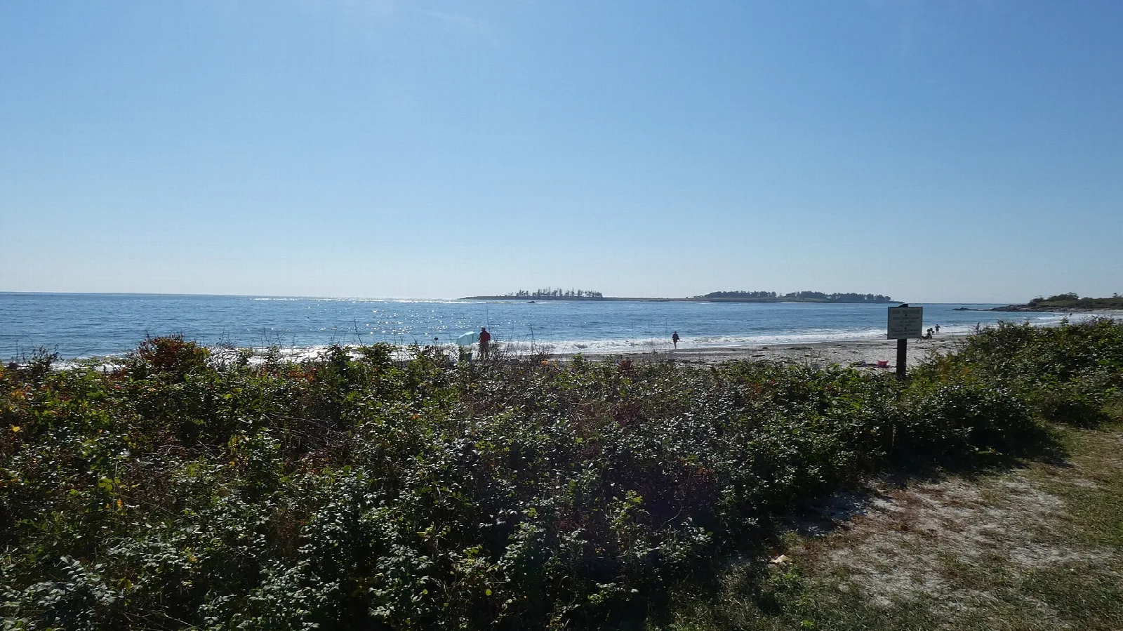 Beach grass and shrubs along the shore with the ocean and a small island beyond
