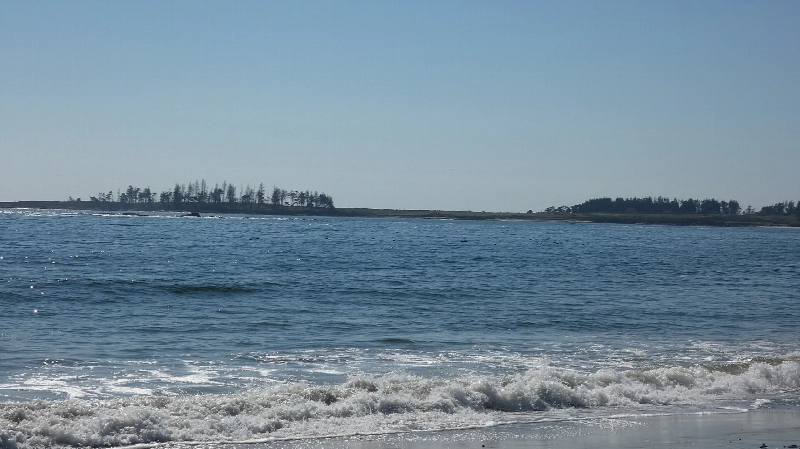 Small wooded island offshore beyond surf breaking on the sand