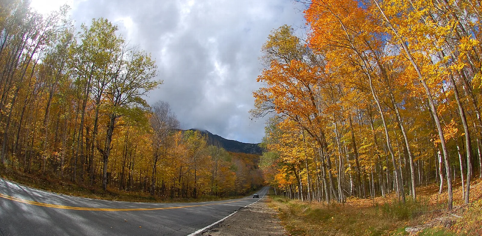 Road curving through trees in bright orange autumn foliage under cloudy sky