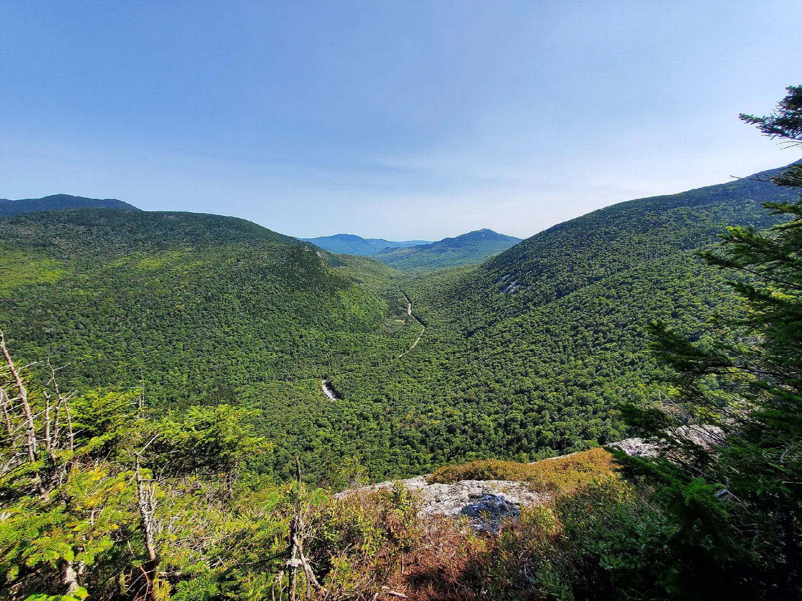 Forested valley between green mountain ridges seen from a rocky summit