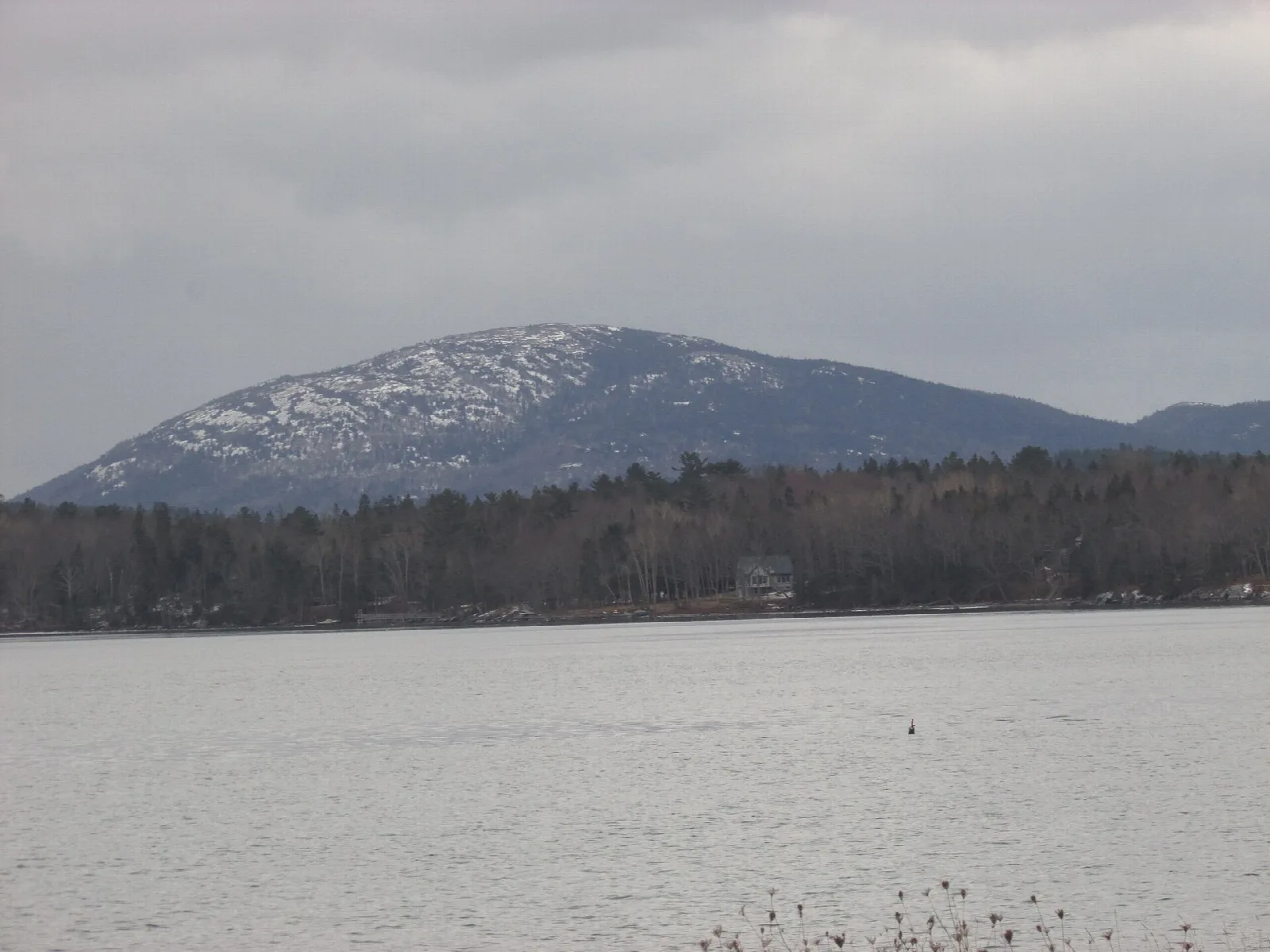Snow-dusted mountain across a wide gray bay with a dark line of forest along the shore