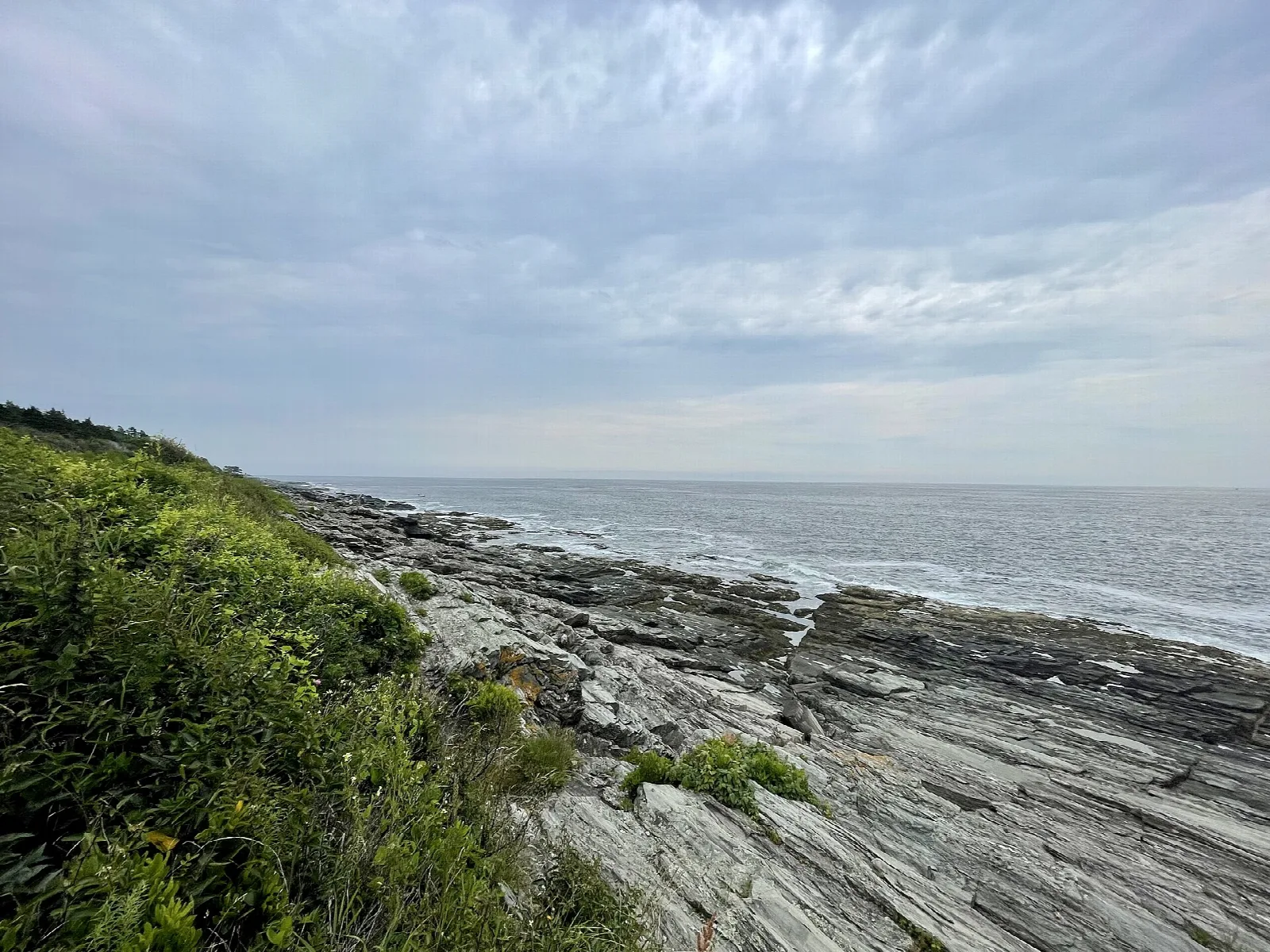Flat layered rock ledges and green shrubs running down to the open Atlantic under a pale sky