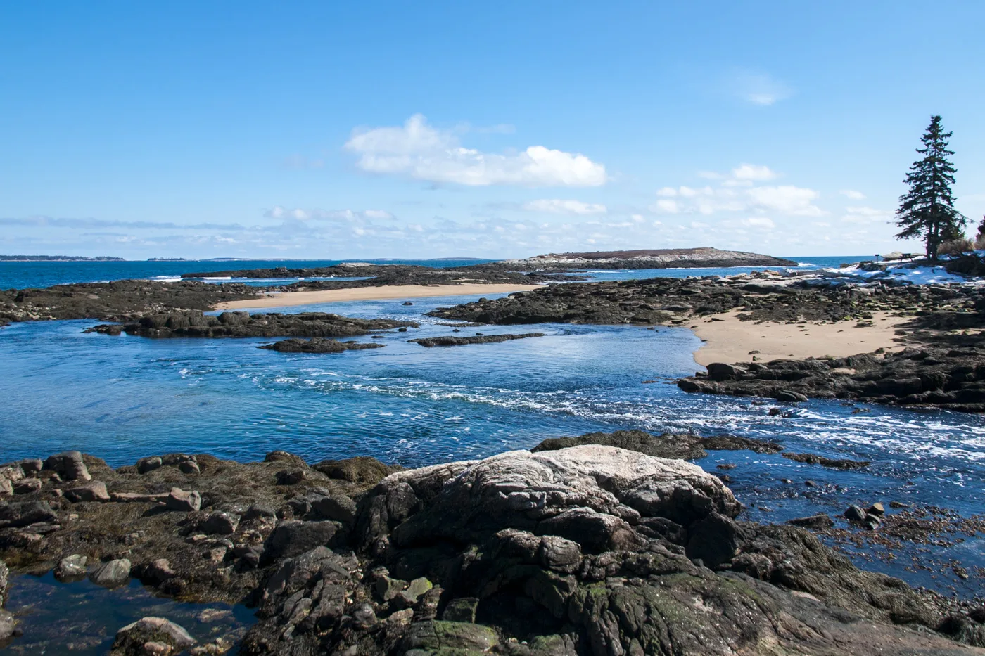 Tidal pool among dark rocks with a lone spruce and a sandy beach beyond