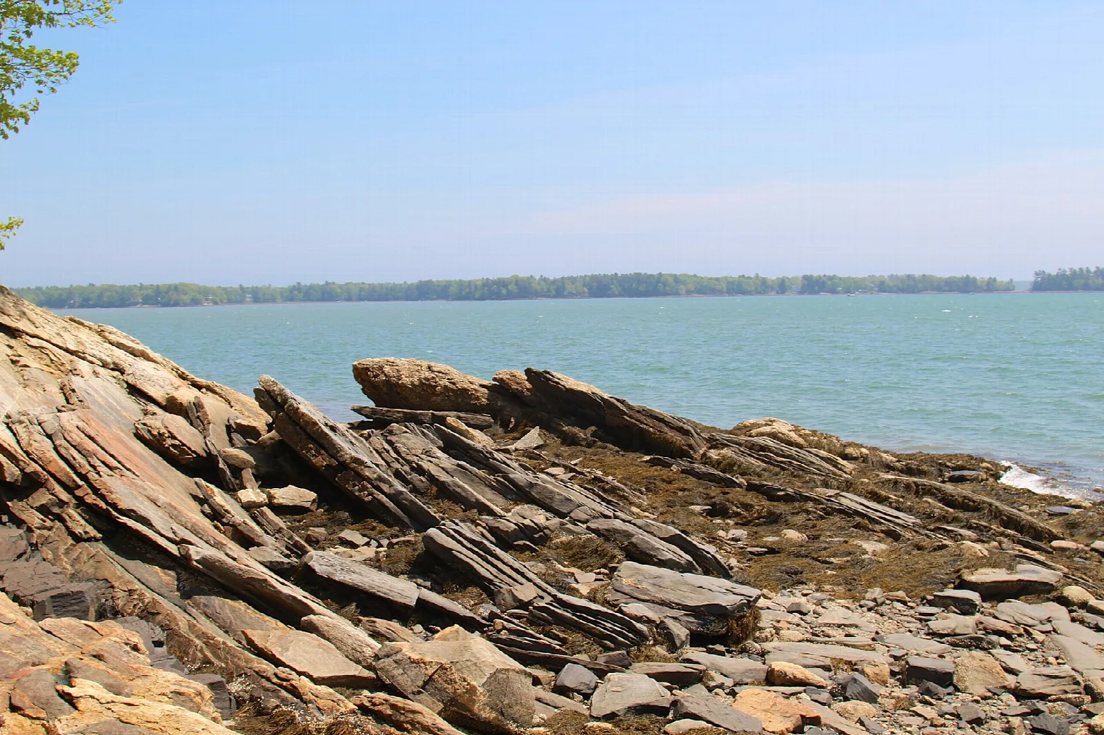 Slanted layers of rock on the shore of a calm bay under a clear sky