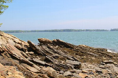Wolfes Neck Woods State Park