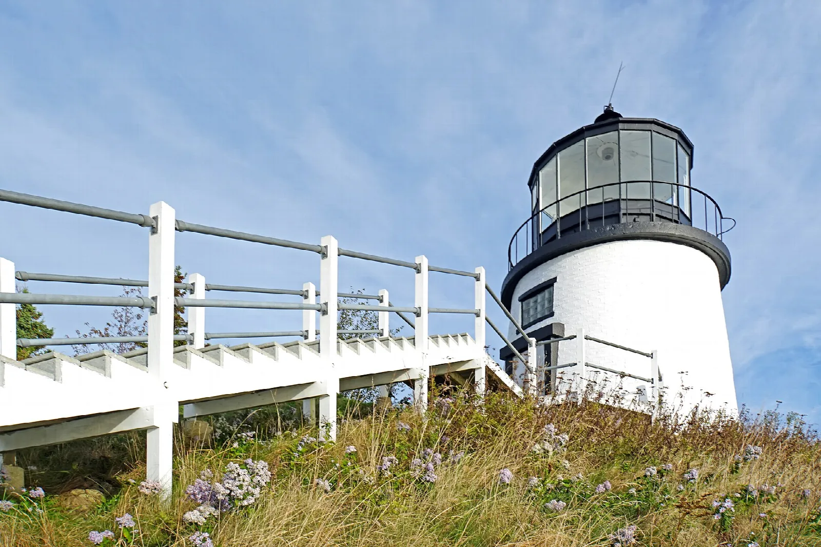 White walkway railing beside wildflowers, with the lighthouse tower beyond