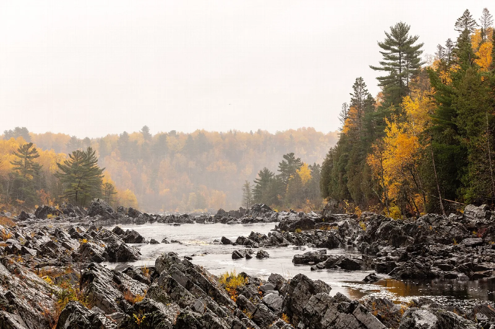Rocky river channel lined with autumn trees