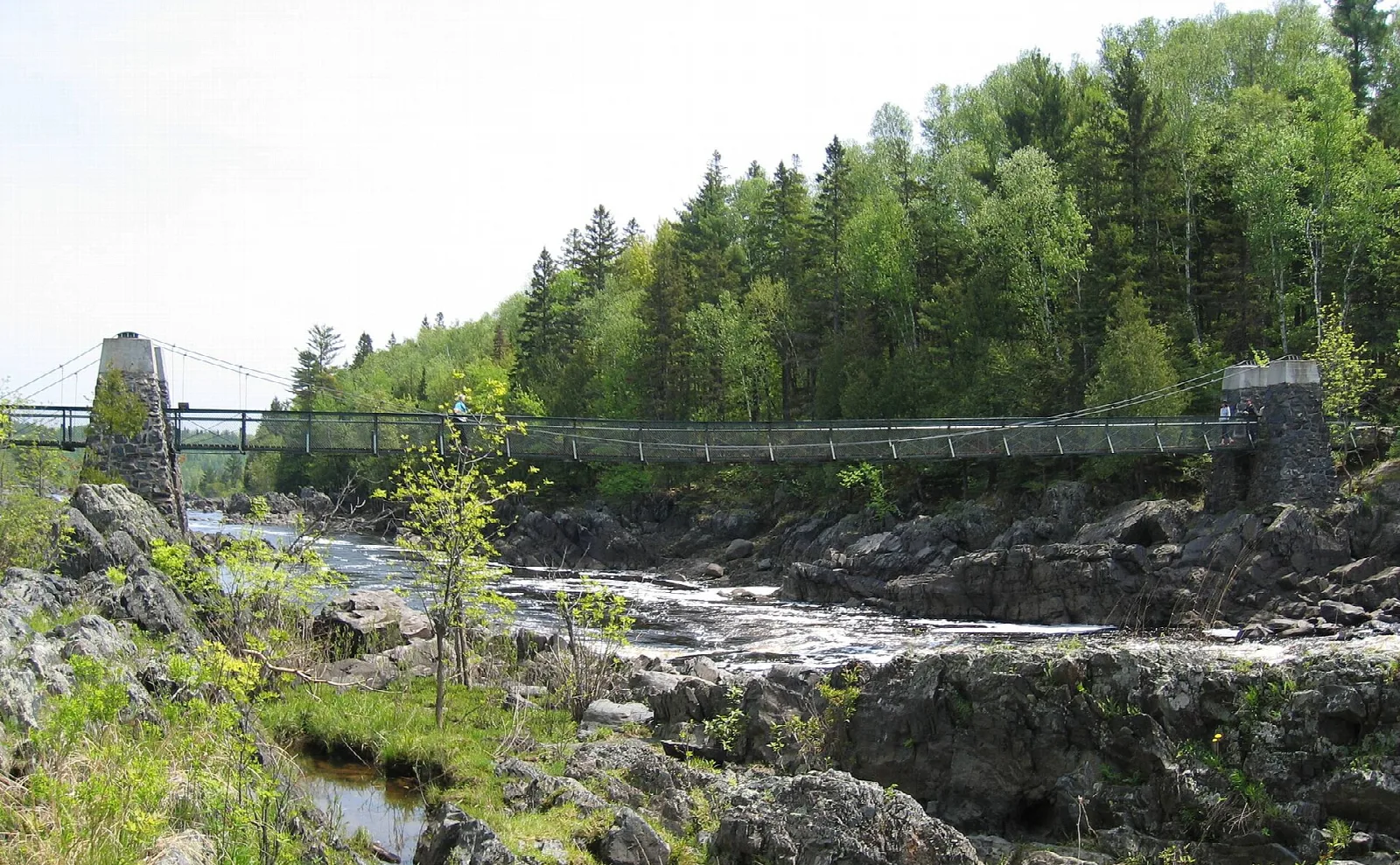 Swinging footbridge crossing a rocky river gorge with evergreen forest beyond