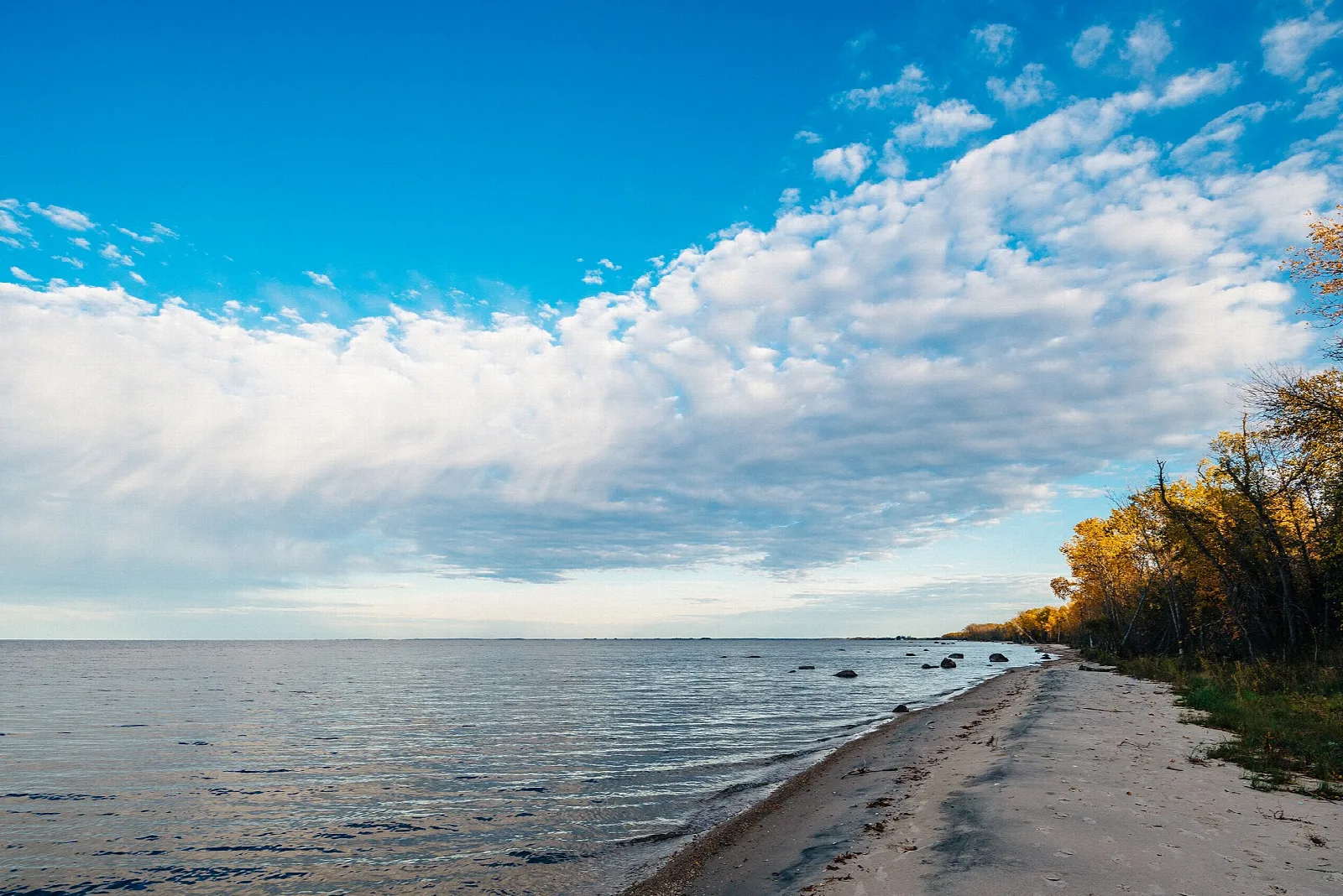 Sandy beach and calm lake under a blue sky with scattered clouds
