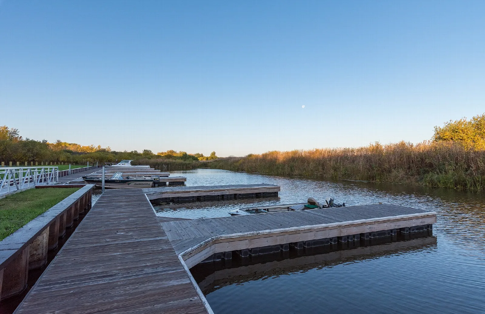 Wooden marina docks beside reeds under a clear sky