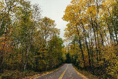 Bear Head Lake State Park