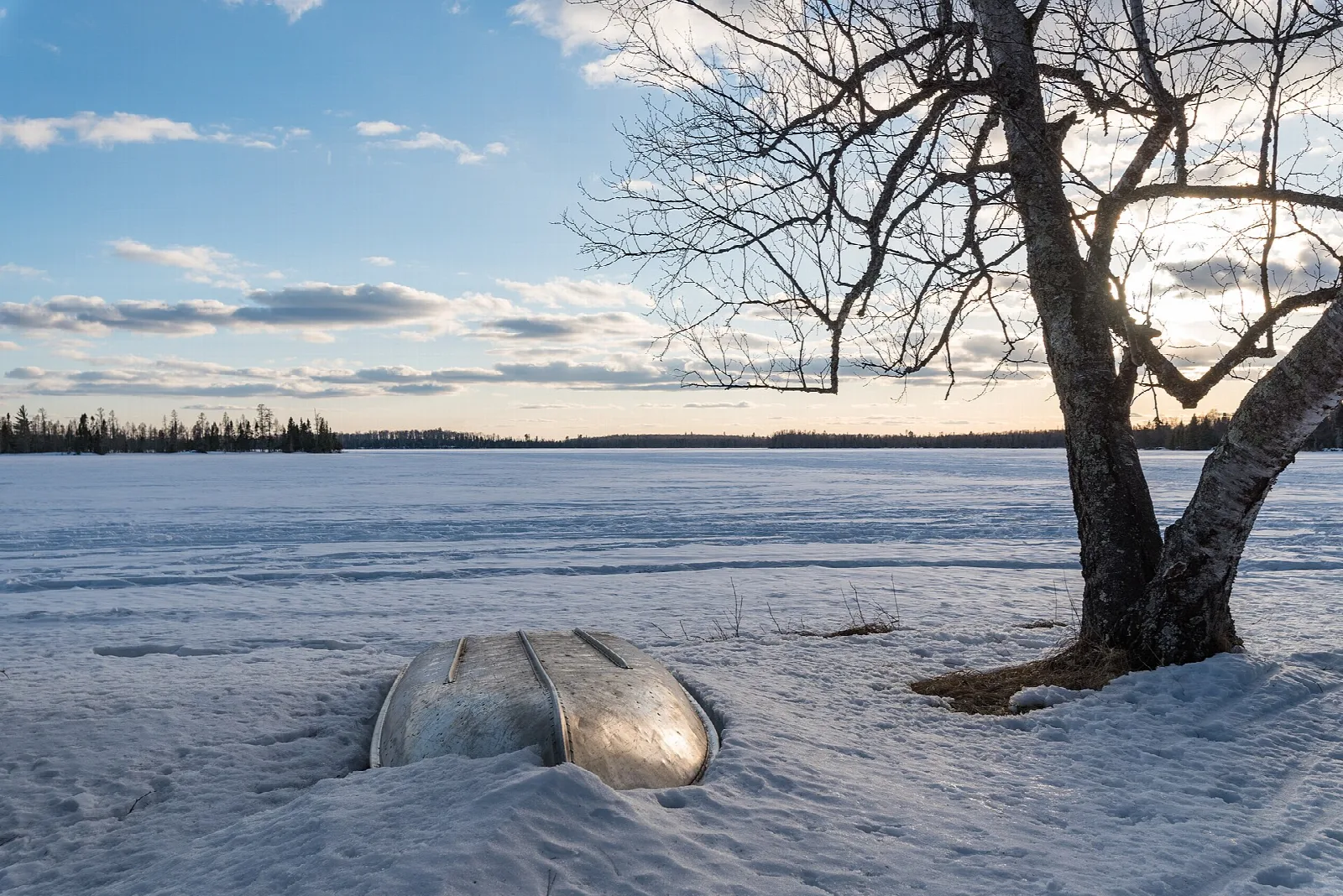 Small rowboat half buried in snow on a frozen lake beside a bare tree