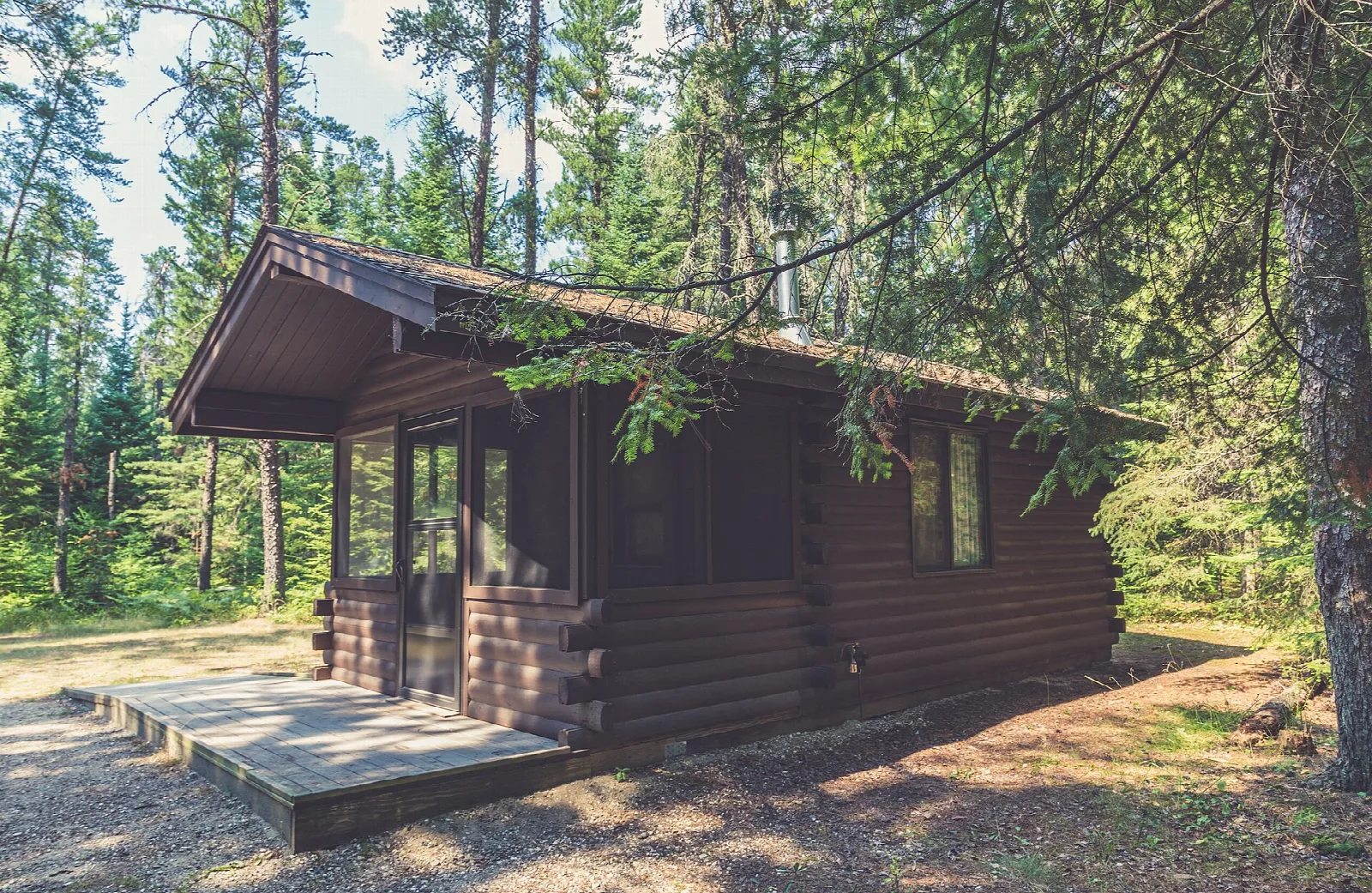 Small log cabin with a porch among pine trees