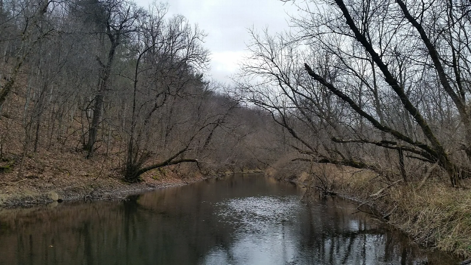 Calm river between wooded banks with bare trees