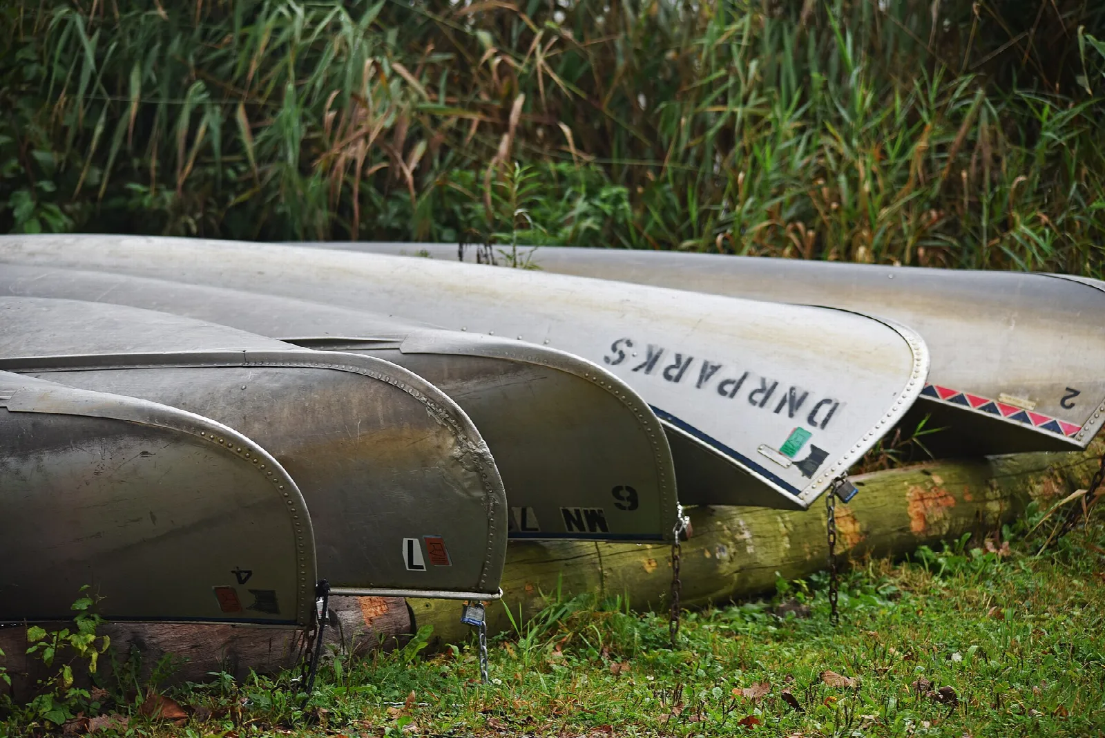 Aluminum canoes lined up on a grassy shore