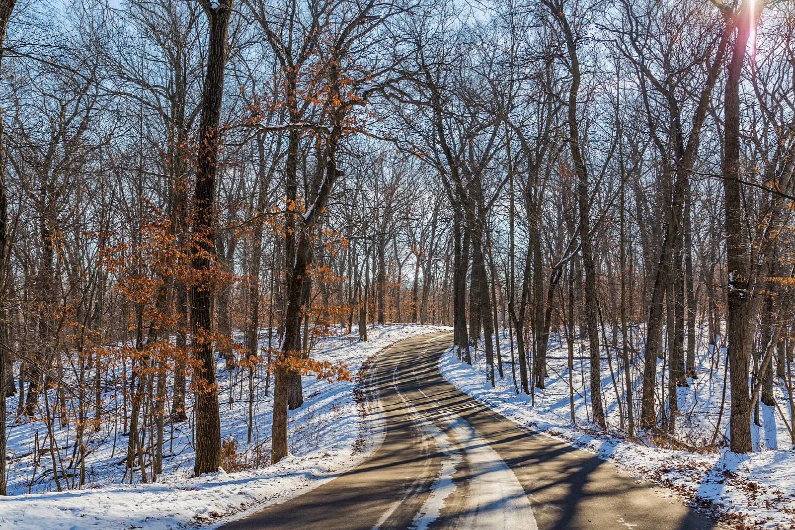 Snowy trail curving through bare winter woods