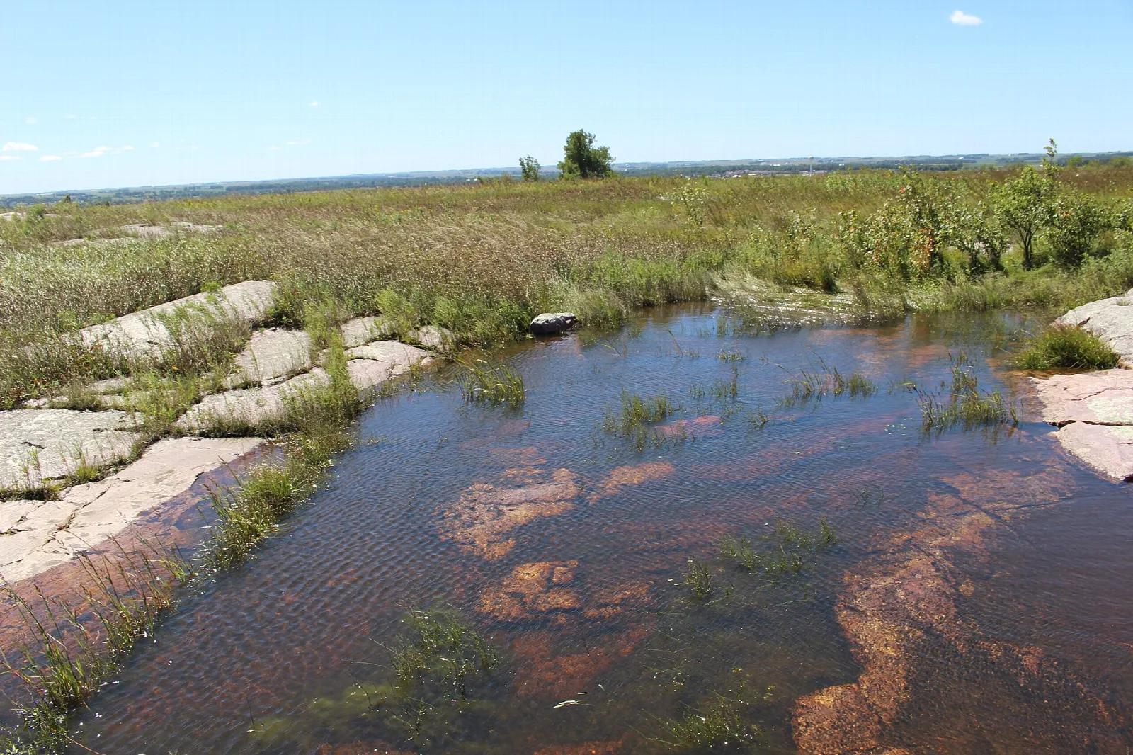 Shallow pool on pink rock with prairie grass behind
