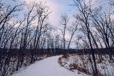 William O'Brien State Park