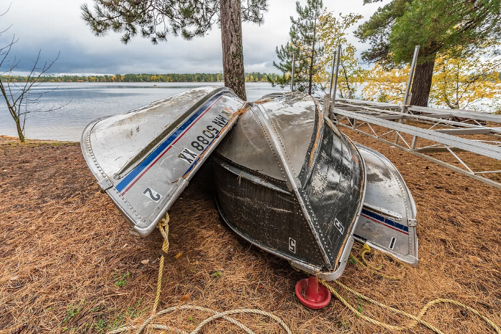 Overturned rental canoes on a pine-needle shore beside a lake
