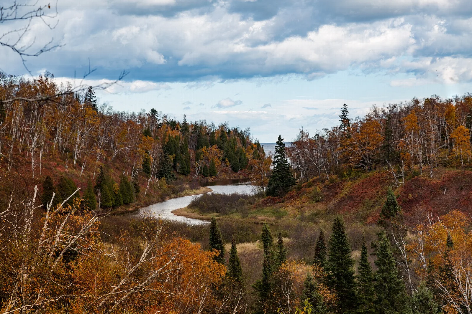 Hillside of red, orange and green autumn trees under a cloudy sky
