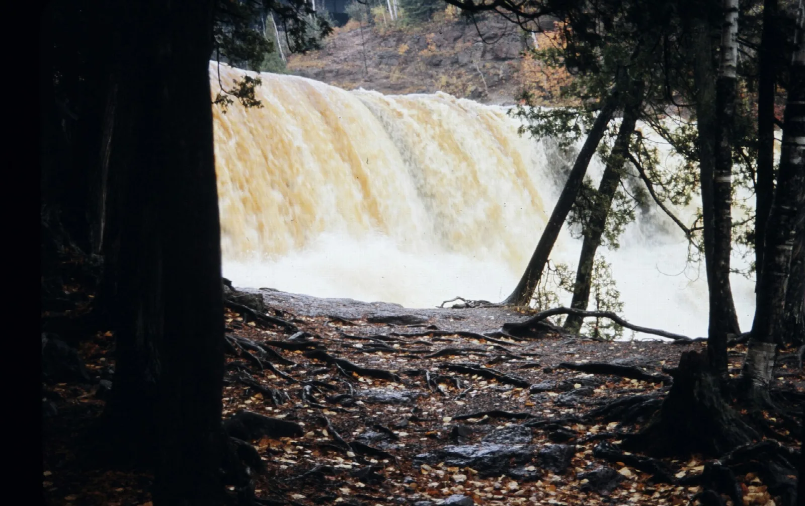 Waterfall seen through dark trees in spring runoff