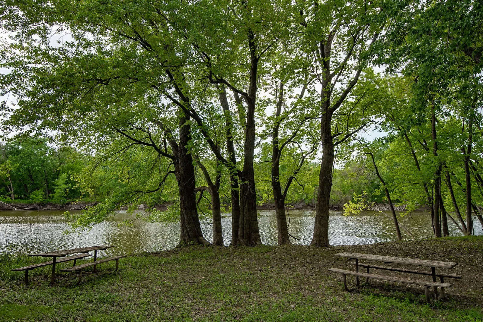River winding past a grassy bank with tall green trees and a picnic table