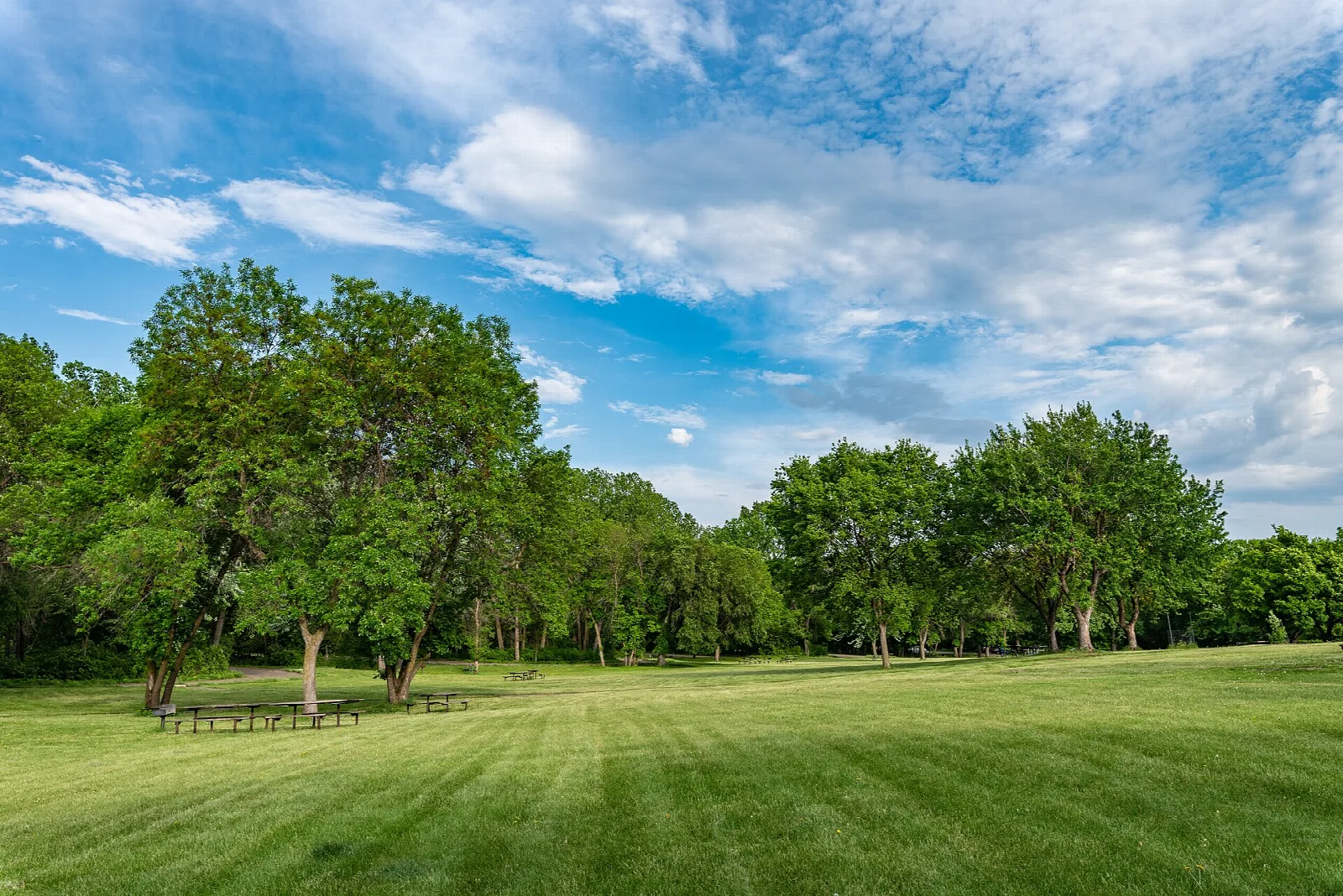 Wide mown picnic lawn with scattered trees under a blue sky