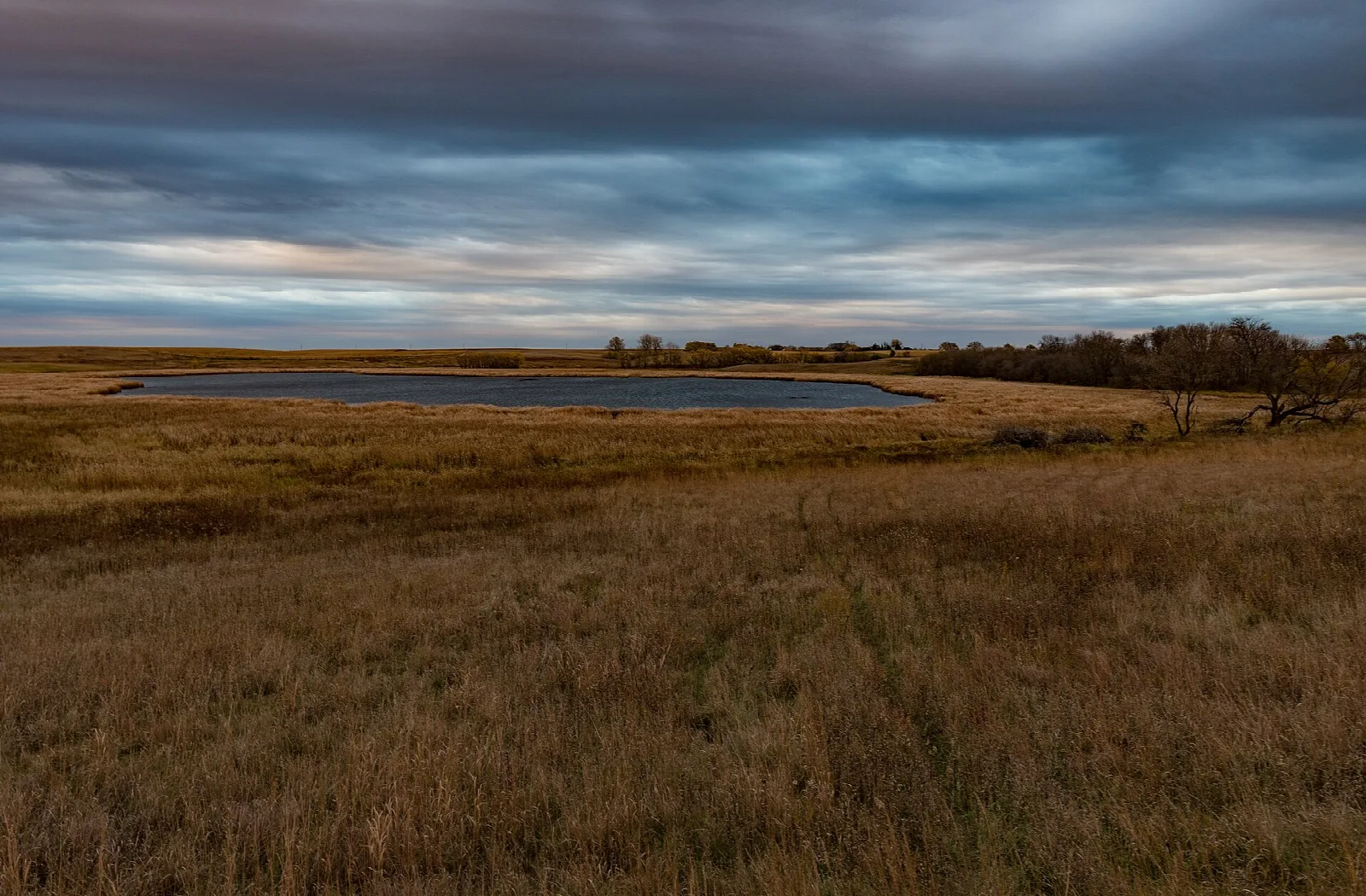 Golden prairie grass with a small pond under a cloudy sky